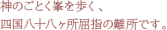 神のごとく峯を歩く、 四国八十八ヶ所屈指の難所です。