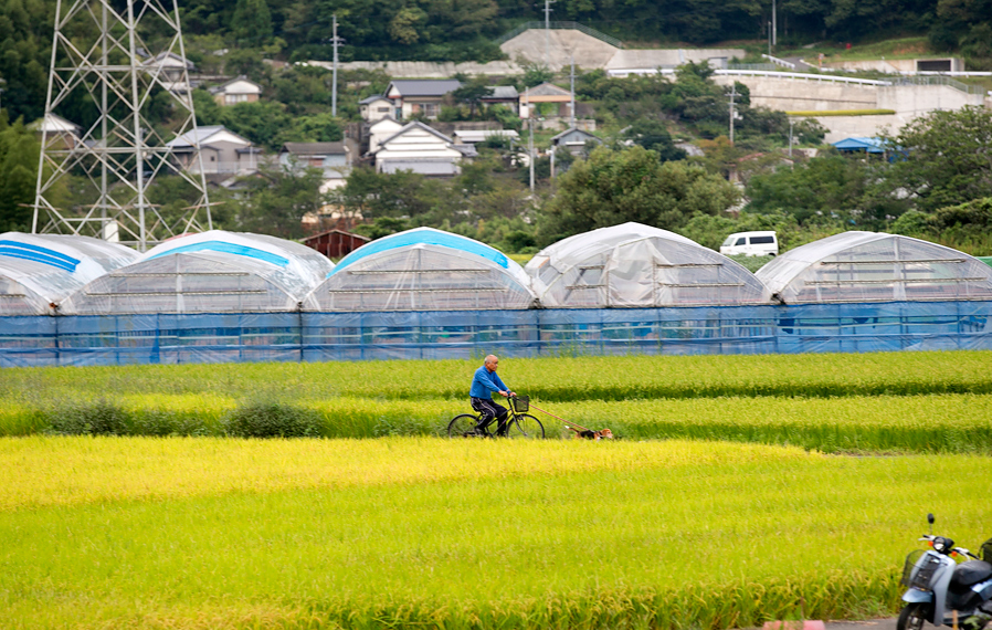 道の駅 田野駅屋